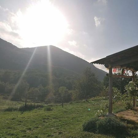 Bright Loft With Mountain And Nature View Sougraigne Exterior photo